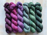 Biscotte Mini Skein Set Yarn