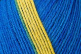 REGIA Pairfect 4-ply Sock Yarn