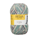 REGIA Design Line by ARNE & CARLOS 6-ply Color Sock Yarn