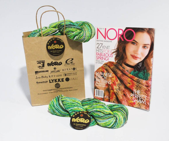 NORO Semicircle Shawl Knitting Kit
