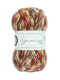 WYS Signature 4ply Sock Yarn