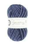 WYS Signature Sparkle 4ply Sock Yarn