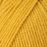 Beginner Knitting or Crochet Kit
