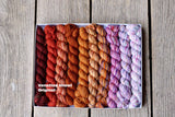 Koigu Venation Shawl Kits - Pencil Boxes x Ambah