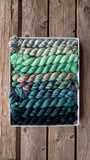 Koigu Venation Shawl Kits - Pencil Boxes x Ambah