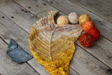Koigu Venation Shawl Kits - Pencil Boxes x Ambah