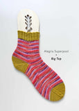 Colorful striped sock with a wooden tool on a white background, featuring the brand 'Alegria Superpool'.