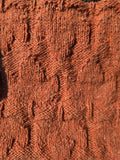 Autumn's Splendor Digital Pattern