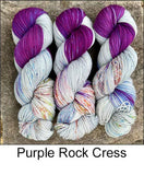 Summer Road Trip Shawl Kit