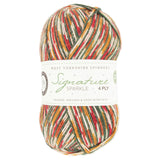 WYS Signature Sparkle 4ply Sock Yarn