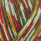 WYS Signature Sparkle 4ply Sock Yarn