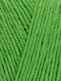 WYS Signature 4ply Sock Yarn