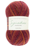 WYS Signature Sparkle 4ply Sock Yarn