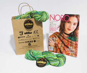 NORO Semicircle Shawl Knitting Kit